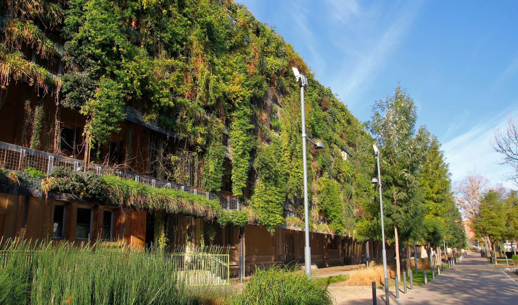 “We need a revolution in net zero carbon buildings” | Building | The ...