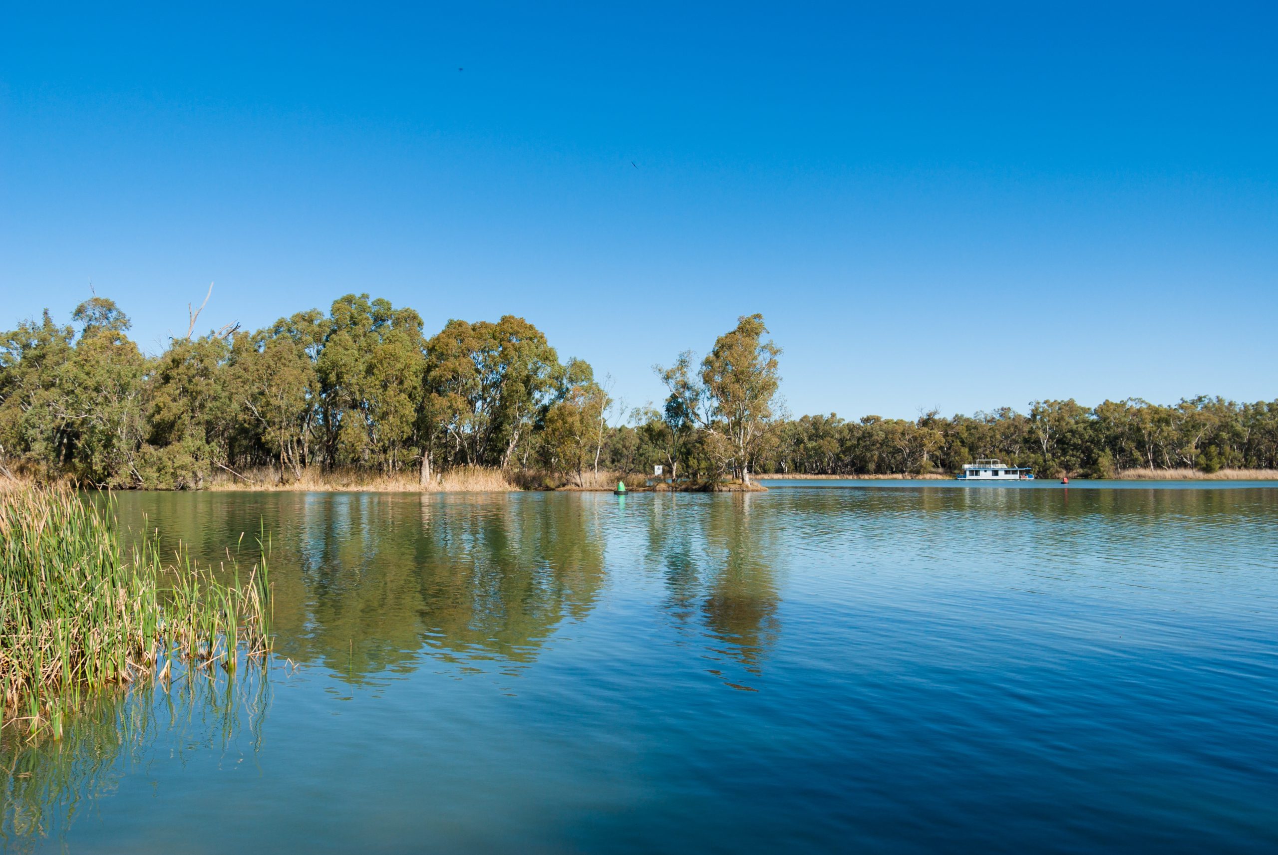 Best plans hit a snag on the way to saving Australia’s biggest river ...