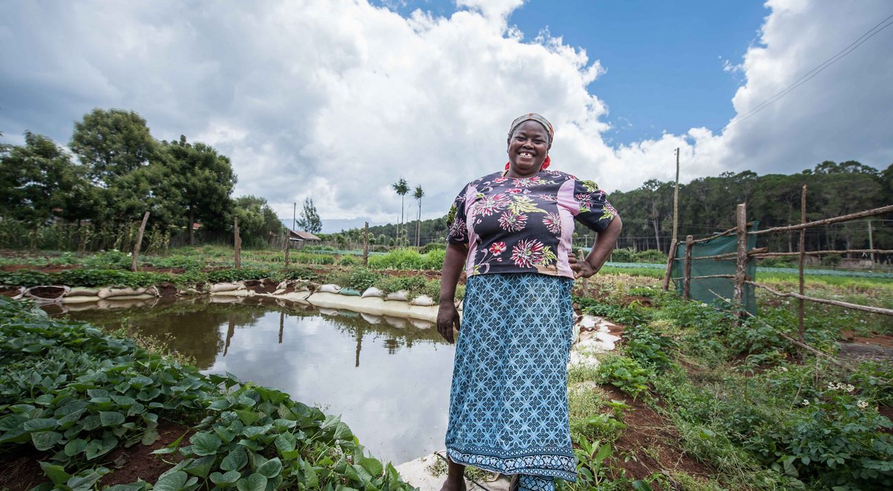 Cities are turning climate adaptation into investable projects